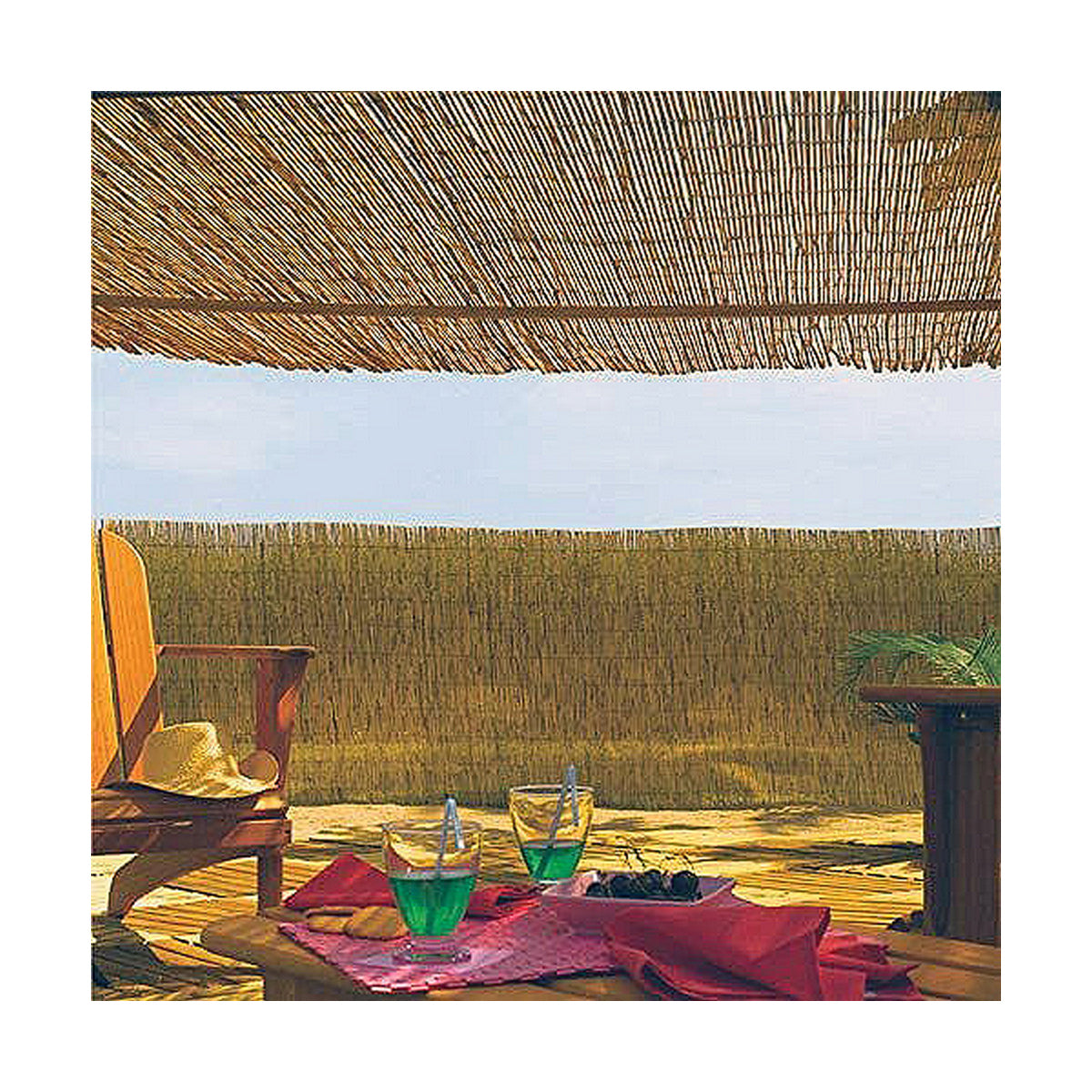 V10HA4CEA3DCE2A462377F15DF31D8011BB9R4670293P2