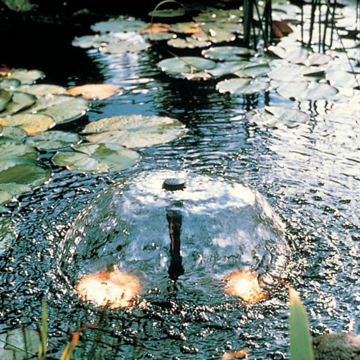 V7HFB0D2E6D190BBF034BDE5D4BCA479FD6R6468774P5