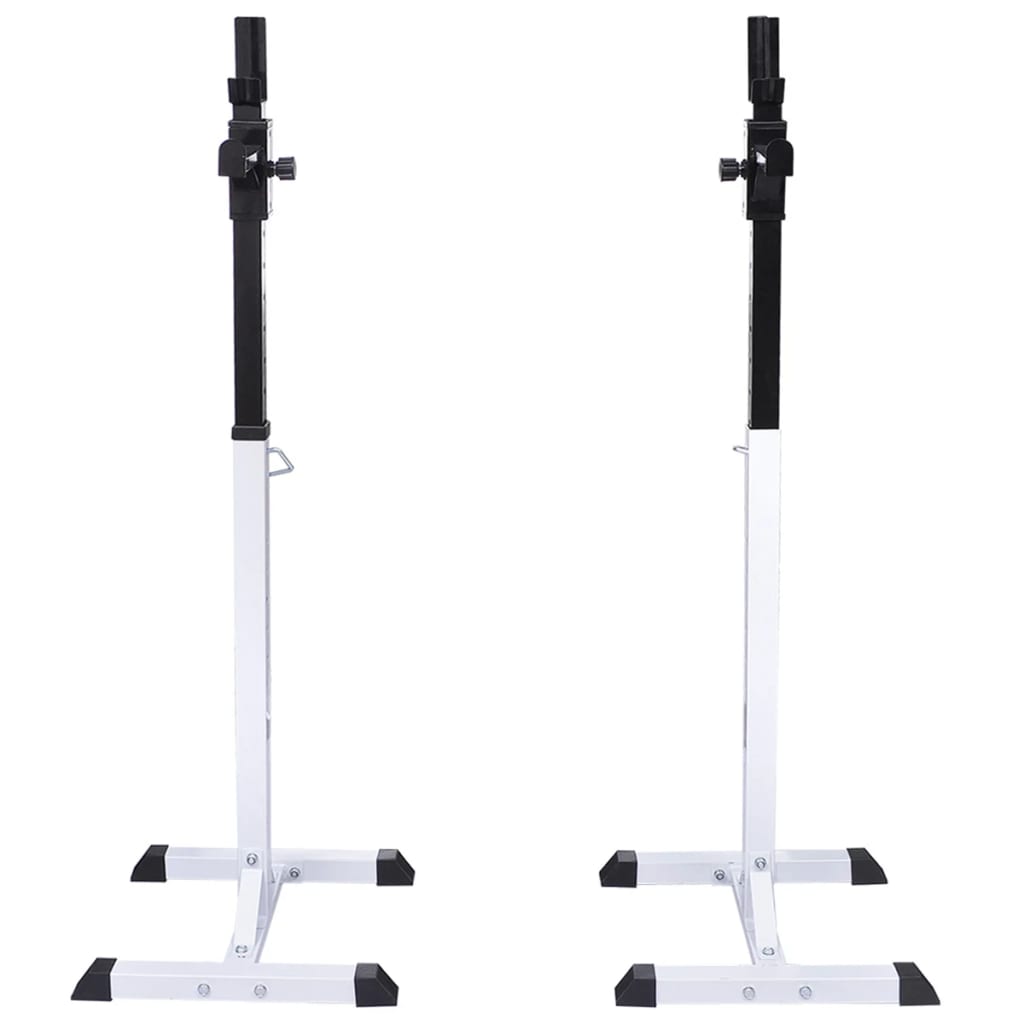 vidaXL Kyykkyteline painotangolla + levy- ja käsipainosarja 60,5 kg