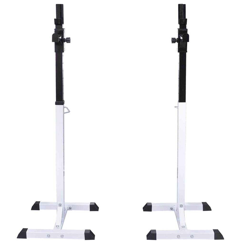vidaXL Kyykkyteline painotangolla + levy- ja käsipainosarja 30,5 kg