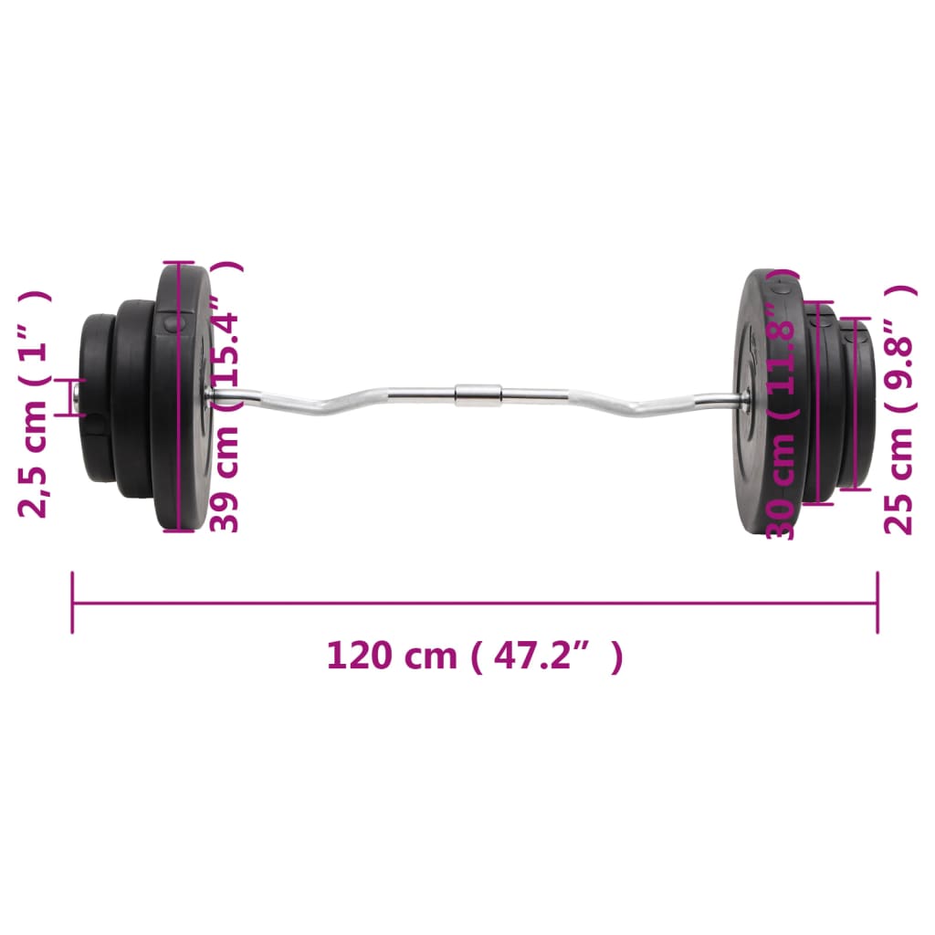 vidaXL Hauistanko levypainoilla 60 kg