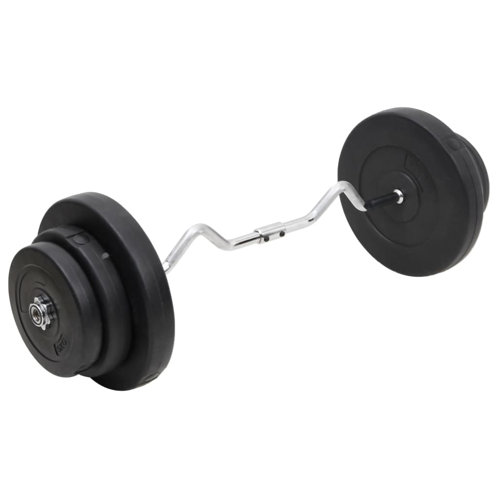 vidaXL Hauistanko levypainoilla 60 kg