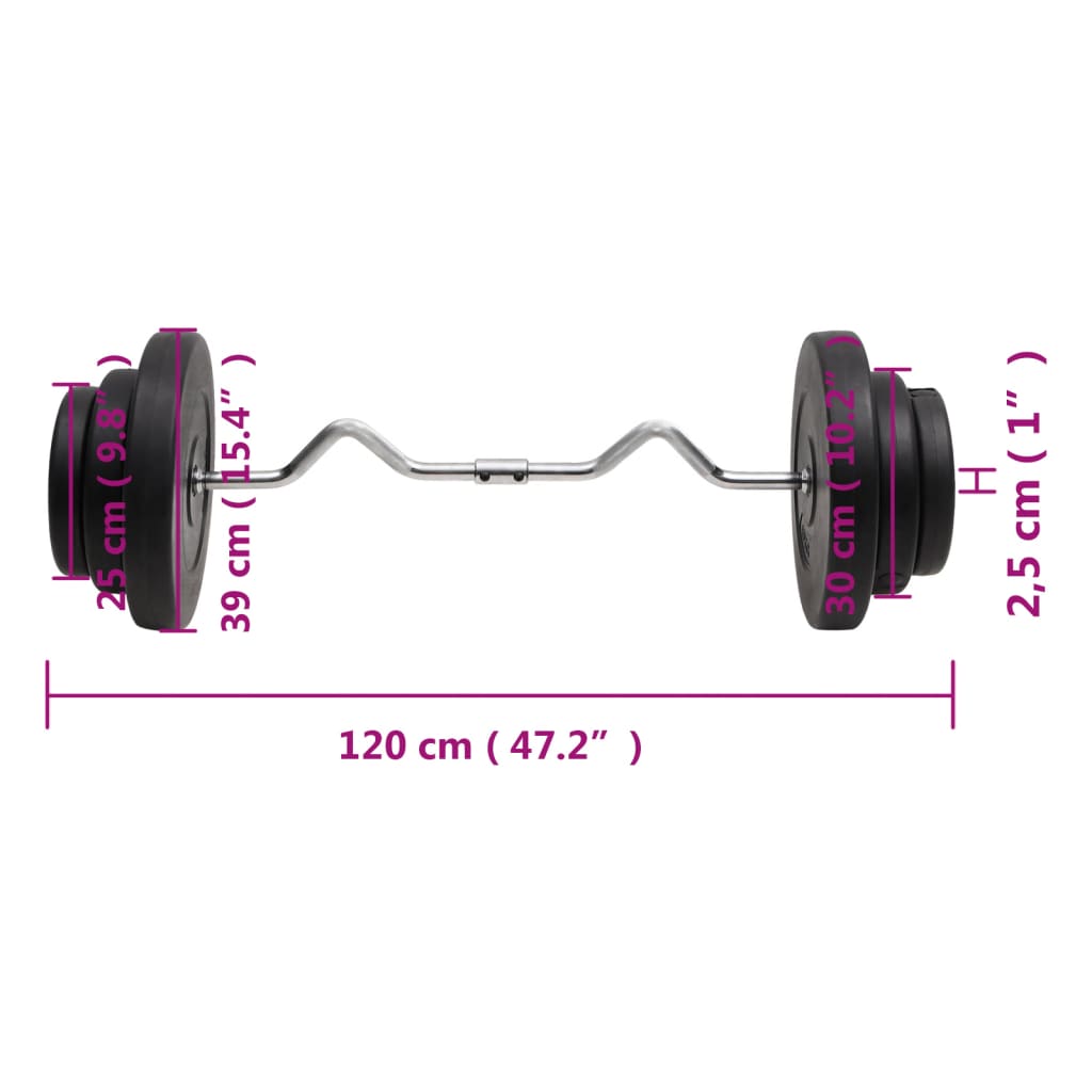 vidaXL Hauistanko levypainoilla 60 kg