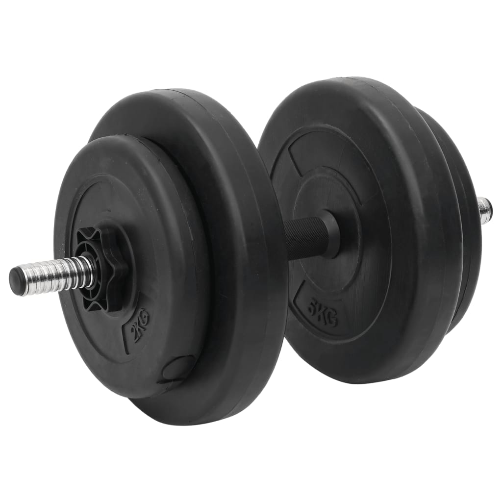 vidaXL Hauistanko ja käsipainosarja levyillä 60 kg