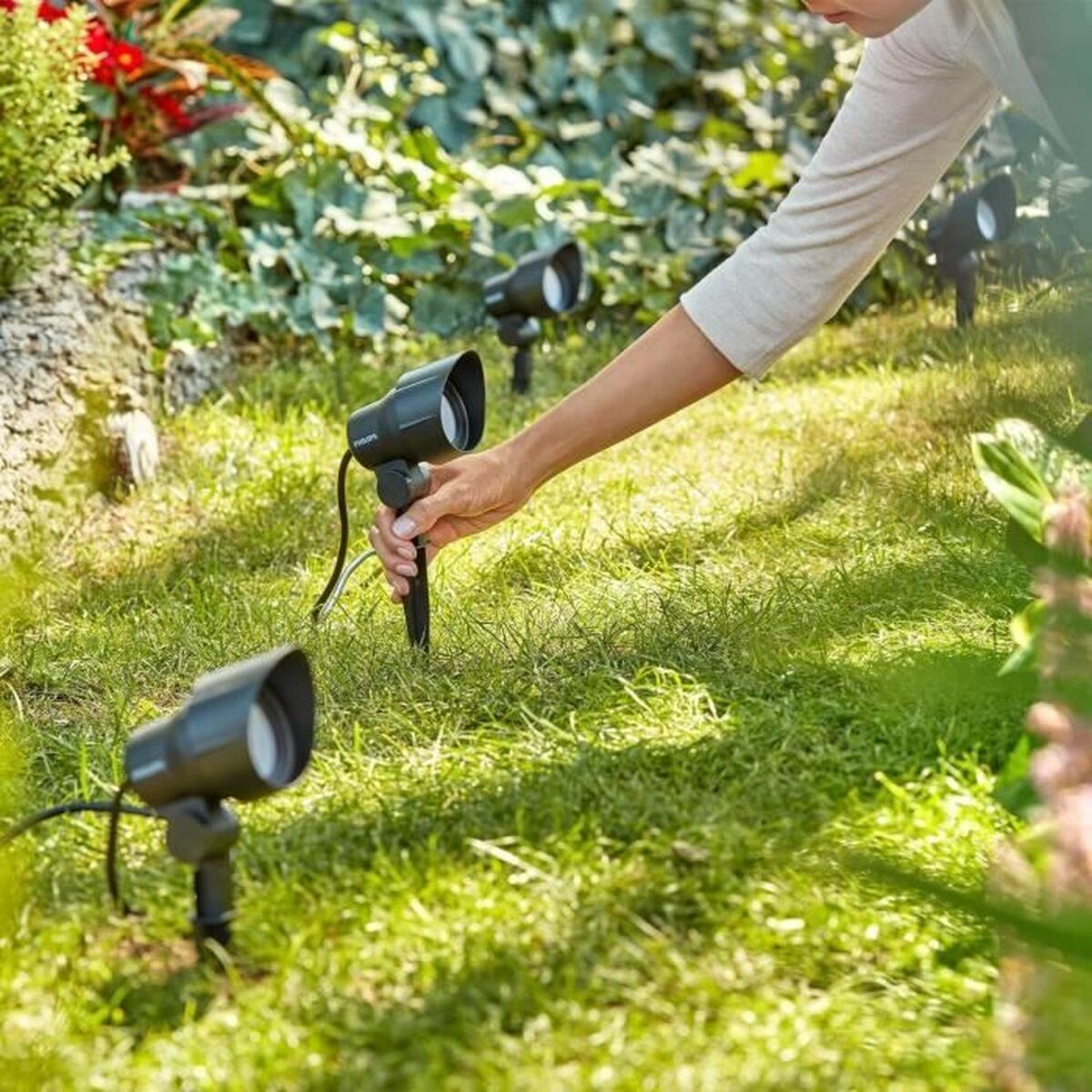 V4H4D666C6222D804EB3F4D72CA59C58FC8R4269058P5